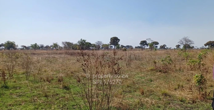 Agricultural Plots  (Sole Mandate)