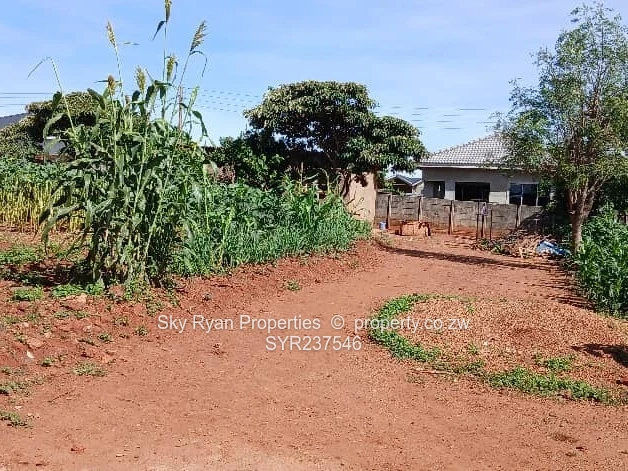 Cold Comfort Stand For Sale 