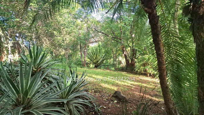 Greystone Park $185K