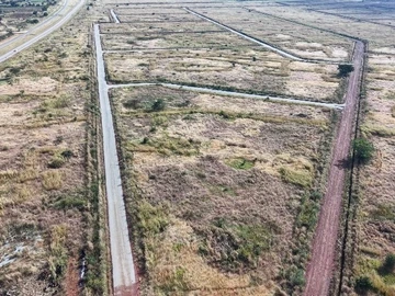 Stands & Residential Land