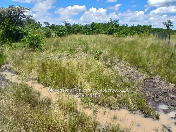 Clonmoran Stands, Halfway Road, Kadoma