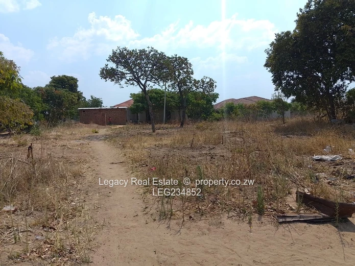 Crowhill 1300sqm Stand – Affordable Deal with Full Paperwork!