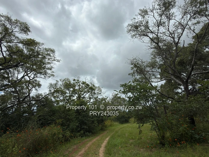 Sale~ The Grove|Boadering Umwinsadale $25,000  #HarareNorth