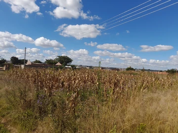 Land