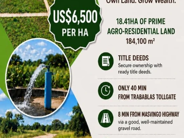 Farm & Agricultural Land
