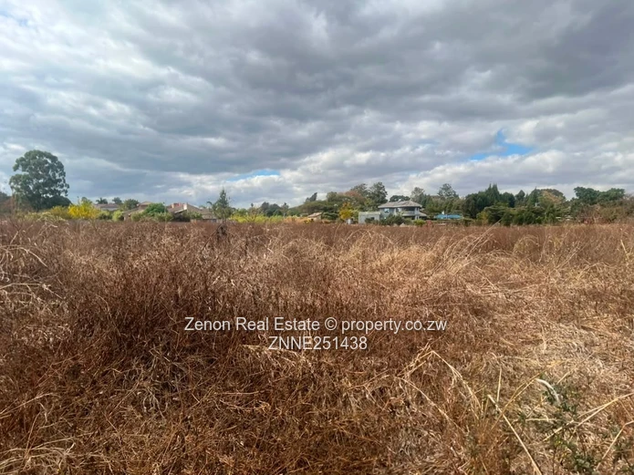 Bluffhill Stands For Sale. $150k