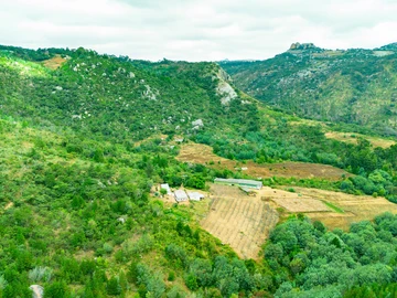 Farm & Agricultural Land