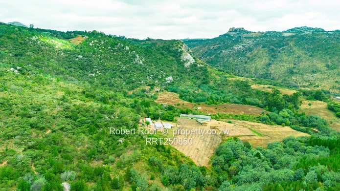 ?? Juliusdale Land Opportunity - PRICED AT $13/sqm