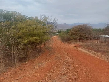 Farm & Agricultural Land