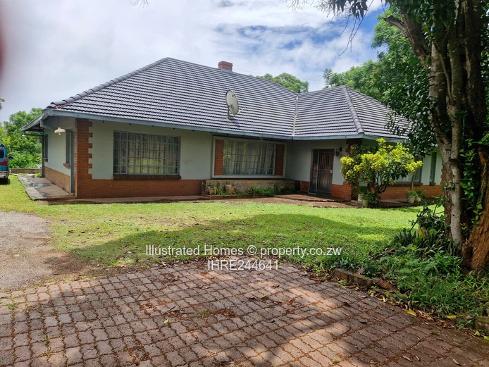 Interesting Investment Opportunity 