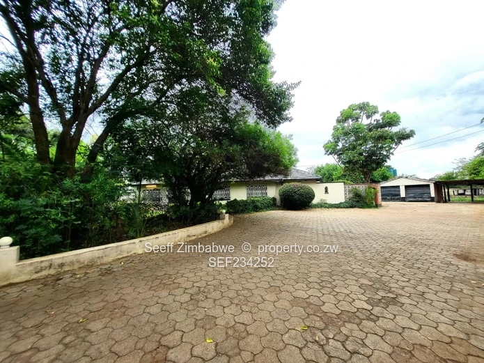 Spacious 4-Bedroom Family Home in Marlborough Needing TLC!