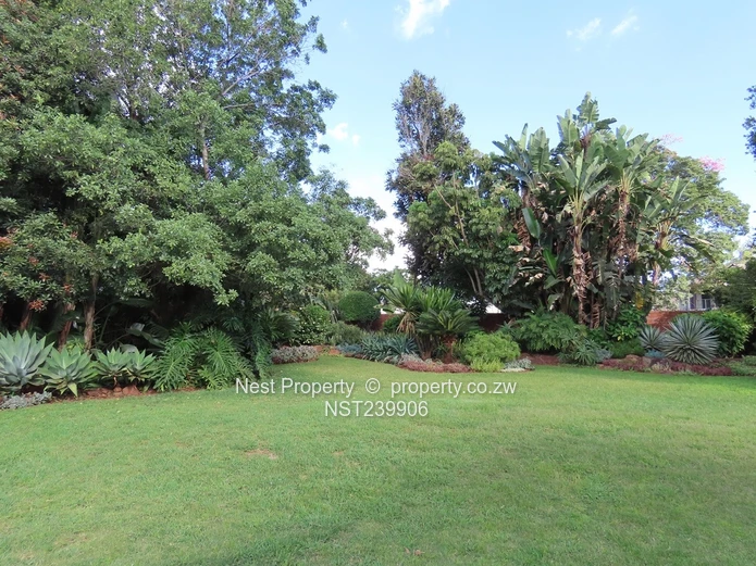 Neat, Embassy Style Home located in the heart of Gunhill!