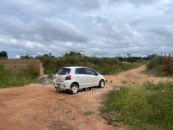 Stands Galore!! Investment Opportunity 