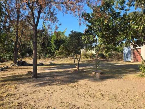 Stands & Residential Land