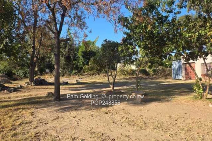 Treed 2800m² Prospect Stand — Subdivision Potential (Sole Mandate)