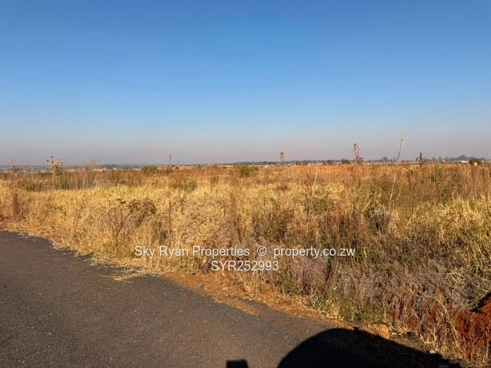 Nyeredzi Ridge Pomona Stand For Sale