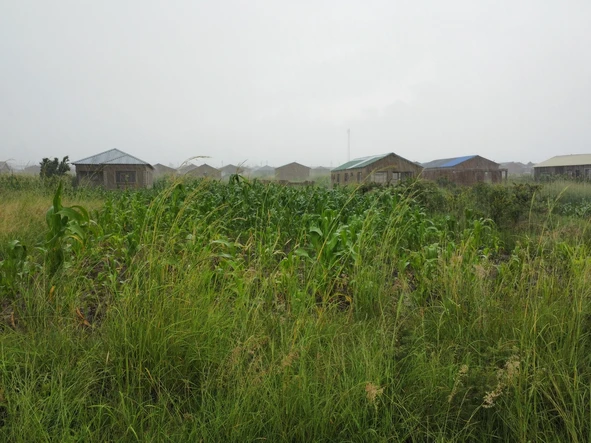 Stands & Residential Land