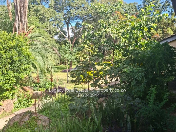 Exclusive Sole Mandate – Renovation/Development Opportunity in Newlands (Sole Mandate)