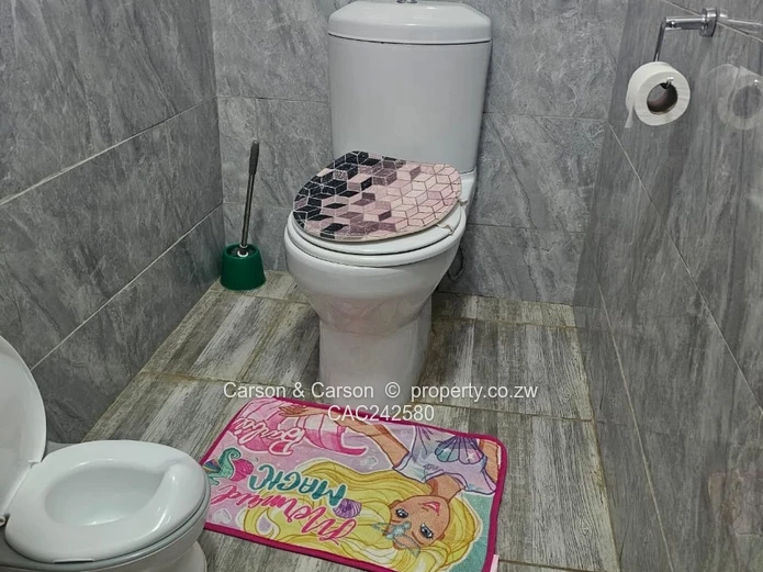 3-Bed Townhouse in Marlborough with Borehole