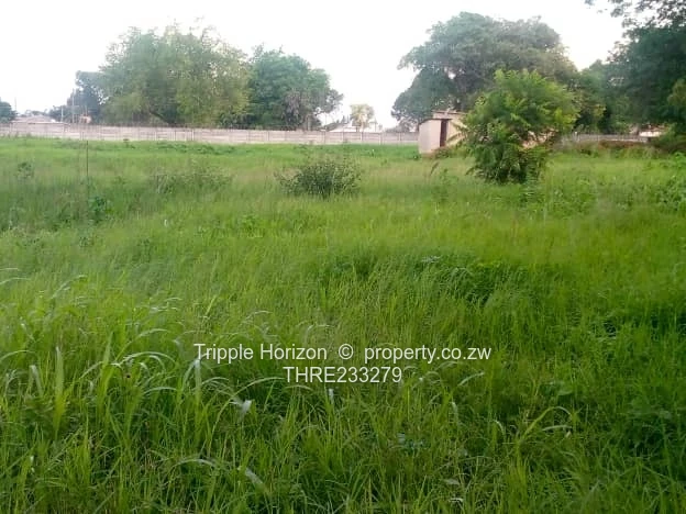 Goodhope Stand For Sale