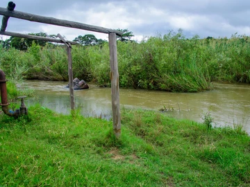 Farm & Agricultural Land