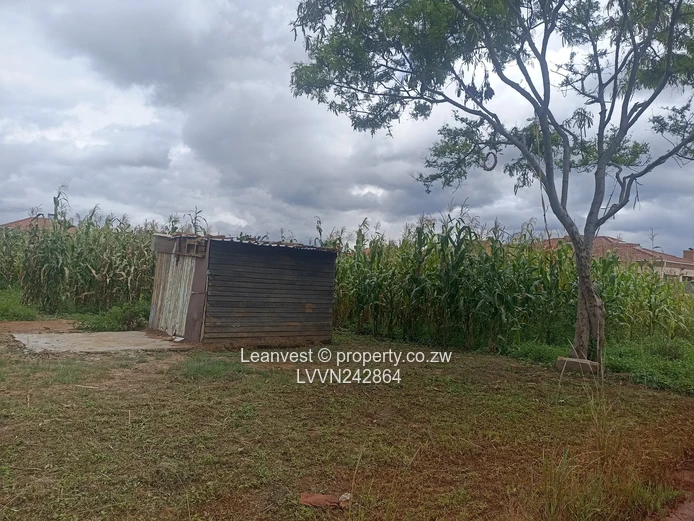 Goodhope Stand For Sale 