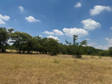 Farm For Sale