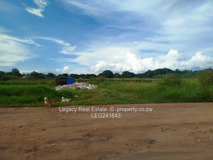 Stand in Established Mabelreign Neighborhood