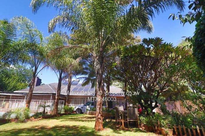 Family Home for Sale in Alexandra Park