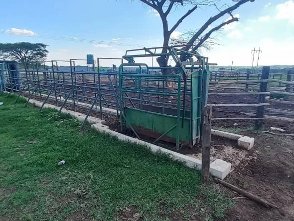 Farm & Agricultural Land