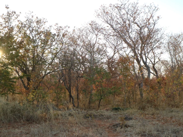 Farm & Agricultural Land