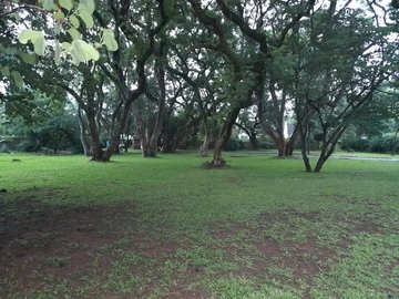 3 Bedroom Garden Flat