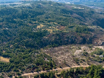 Expansive 10.90 Hectares of Pristine Land in Nyanga