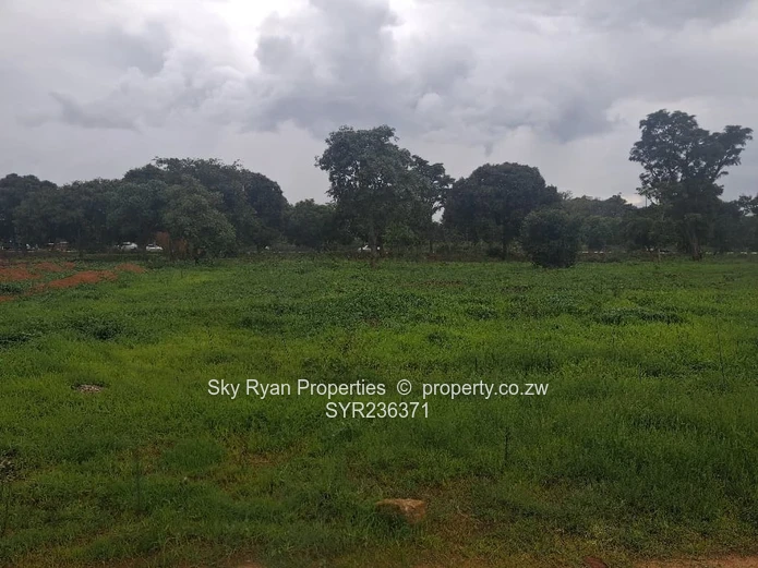 St Martins stand for sale