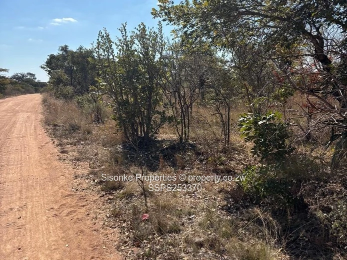 Zenda Farm — 3,025 Hectare Investment Opportunity