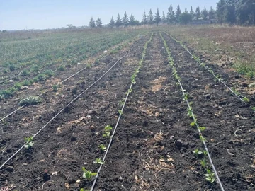 Farm & Agricultural Land