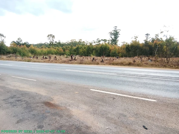 Commercial & Industrial Land