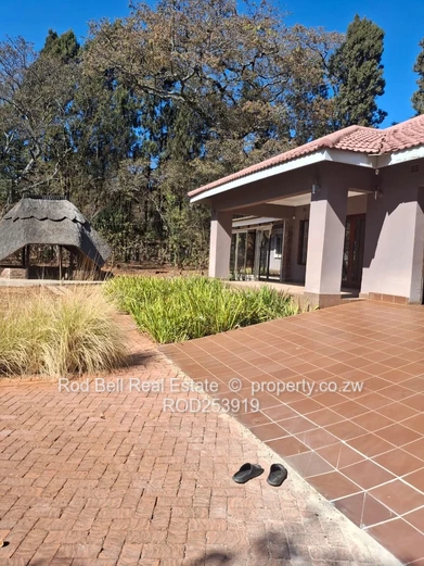 Chisipite 3-Bed with Modern Kitchen & Garden