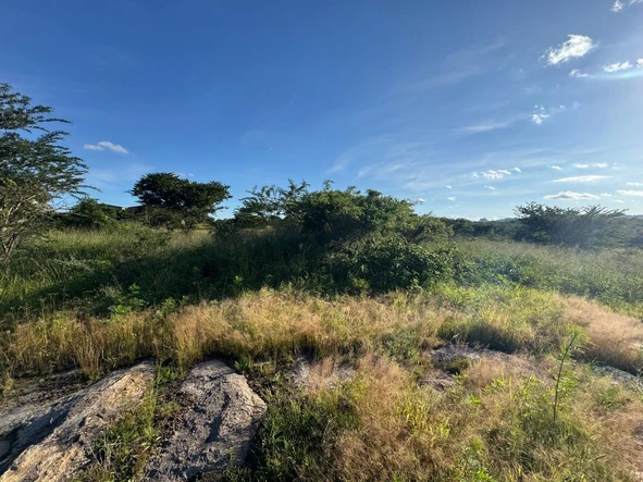 Commercial & Industrial Land