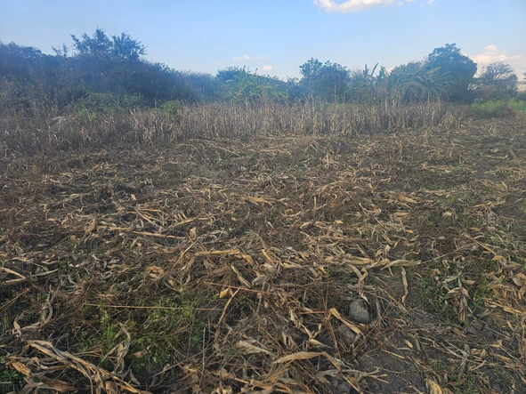 Commercial & Industrial Land
