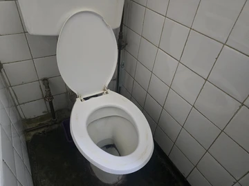 2 Bedroom Flat & Apartment