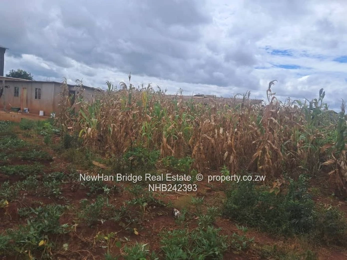 Tynwald Commercial Stand For Sale (Sole Mandate)