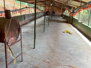 Farm & Agricultural Land