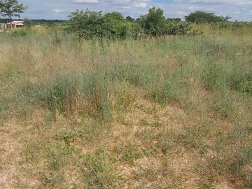 **Prime 1600 m² Land in Seke  Dema Commercial- 