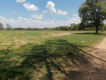 Farm & Agricultural Land