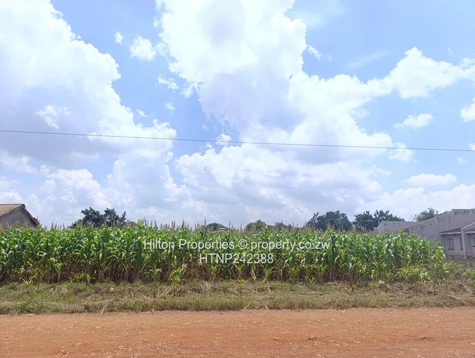 2,112m² Knowe Plot — Maize-Backed, Gravel Road Frontage