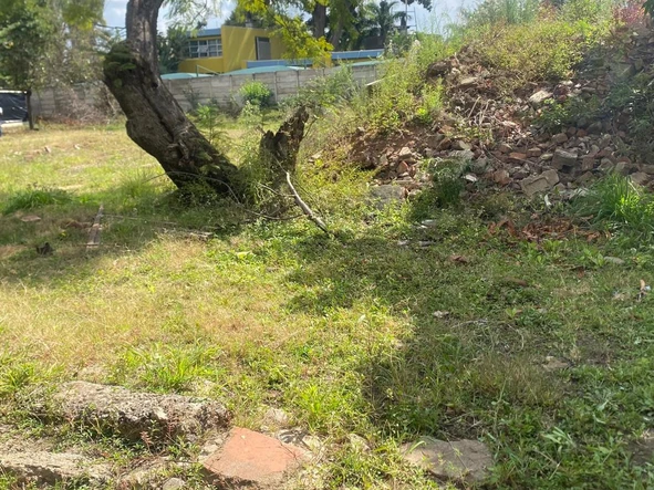 Commercial & Industrial Land