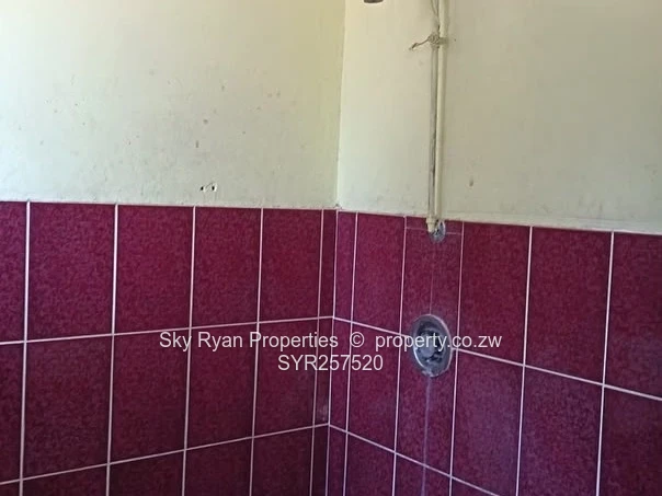 Hatfield Delapidated House For Sale 