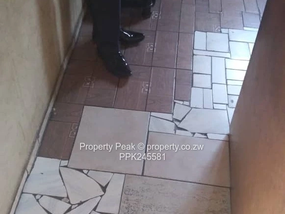 3-Bed Highfield Home, Walled & Garden