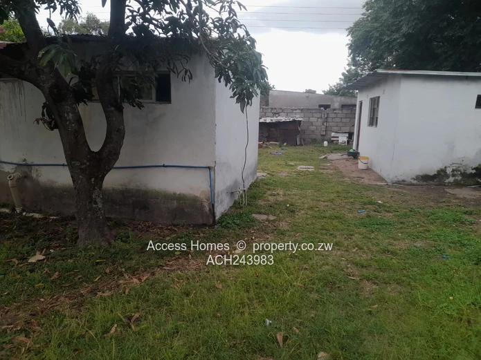 Hatfield Stand for Sale